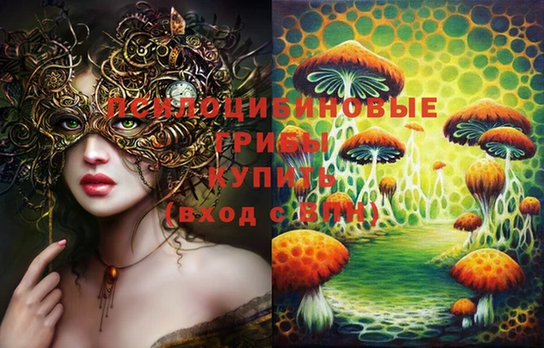 шишки Абдулино