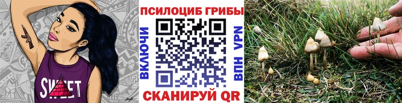 Псилоцибиновые грибы мухоморы  Лысково 