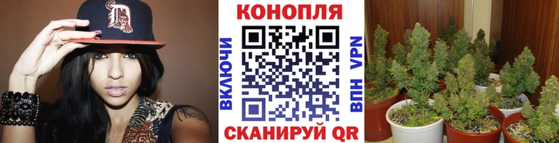 продажа наркотиков  blacksprut ТОР  Каннабис LSD WEED  Лысково 
